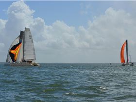 BOSS Racing (Catamaran) 2018 B2G