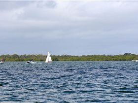 2018 Brisbane to Gladstone Multihull Race Start