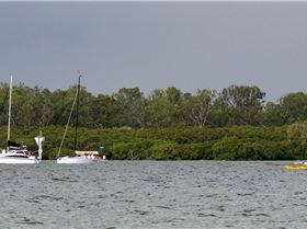 2018 Brisbane to Gladstone Multihull Race Start