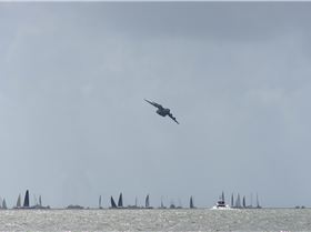 2018 Brisbane to Gladstone Multihull Race Start