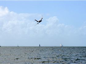 2018 Brisbane to Gladstone Multihull Race Start