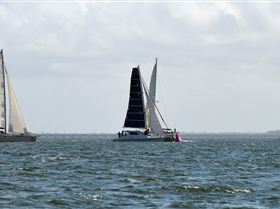2018 Brisbane to Gladstone Multihull Race Start