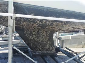 Micron AP antifouling