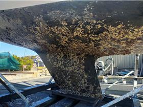 Micron AP antifouling