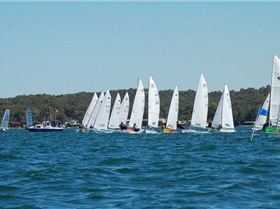 Zhik single handed regatta 2008