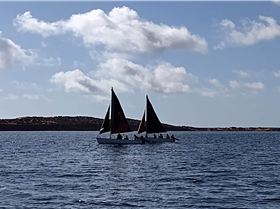 WA Department of Transport seaboats in Shark Bay