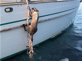 14572277101545155694481501450479374172027175n