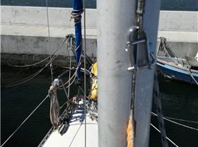 mast clean 2