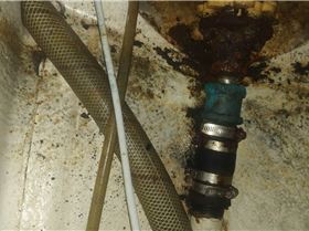 Stren Gland - triton 24 - yanmar1 GM10