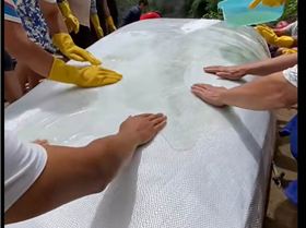 Screenshot 2024-11-10 082045