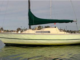 Screenshot 2025-07-25 153931