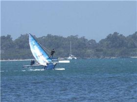 Australia Day 09 flying high