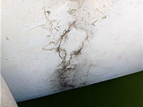 Screenshot20251026-091543