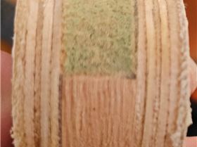 AISelect20260217110607Gallery