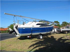 SEAHORSE on the beach