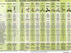 Voile Magazine April 2009