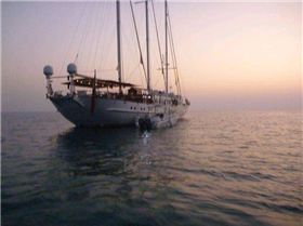 29319 396675078882 621068882 4267837 5894634 n