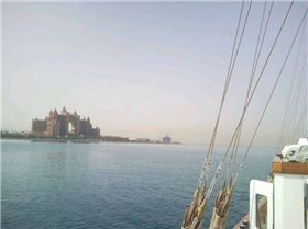 28619 390335843882 621068882 4111371 4973910 n