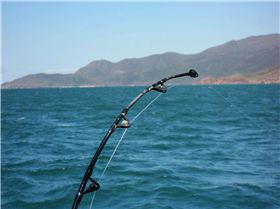 Cruising Hinchinbrook