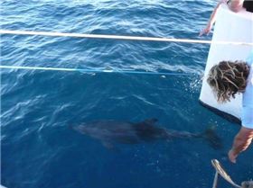 9128 178740079568 554014568 3622604 4719377 n