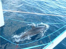 9128 178740084568 554014568 3622605 3107349 n