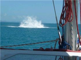 9128 178715009568 554014568 3621498 4720000 n