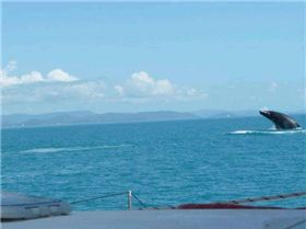 9128 178715014568 554014568 3621499 7813084 n