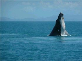 9128 178715034568 554014568 3621501 3418300 n