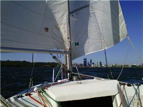 Cruising on the Swan