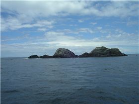 COASTAL SAILING ON STARCHASER