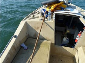 Livelyhood after cleanup