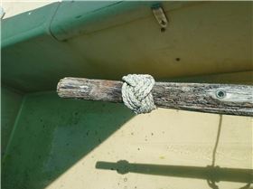 Livelyhood after cleanup