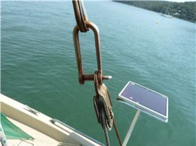 Livelyhood after cleanup