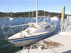 Mystere 25 'Pisco Sour'