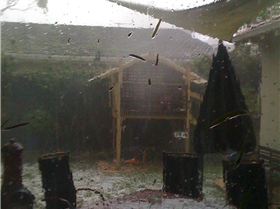 Hail Storm 22-3-2010 010