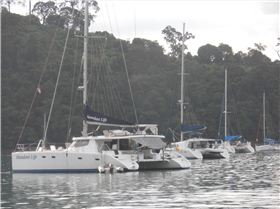 The Cattery, Langkawai