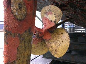 Ultrasonic Antifouling results for above post