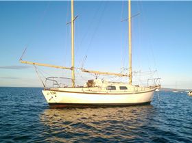 saturdays work 20314 028