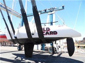 Wild Card Adam T.-Survey 150-2014. 001