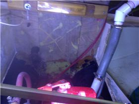 rngine bay and bright work 005