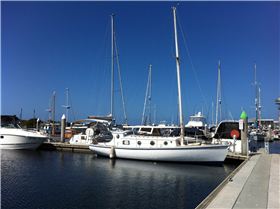 Warana @ Queenscliff