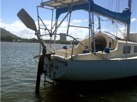 New Horizontal Wind Vane