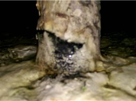 VIDEO0098 0000069848