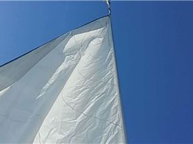 received 10153329589234292