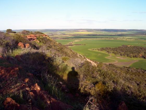 The SSE face at Rennie.  Mid July