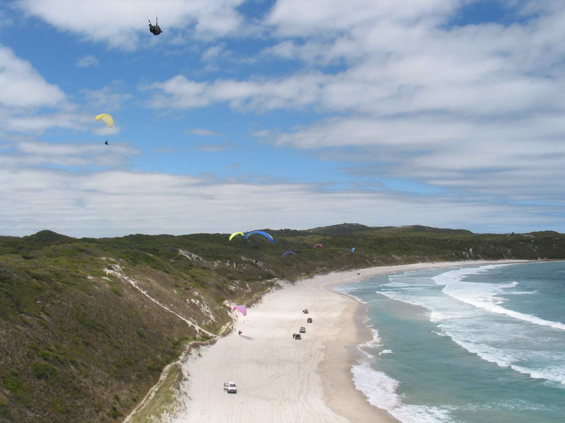 A good day at Mutton Bird