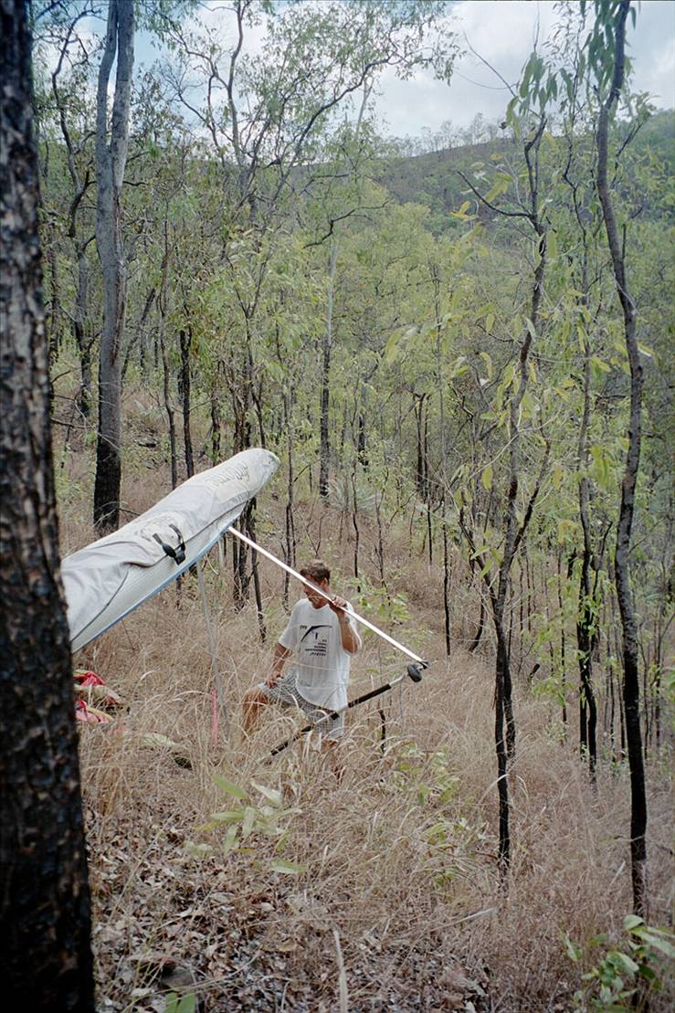 J.C.s Koala endorsement!