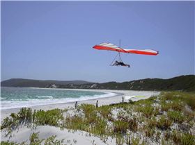 Hanging out at the beach again