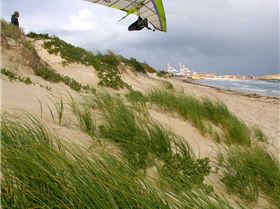 Skimming another dune