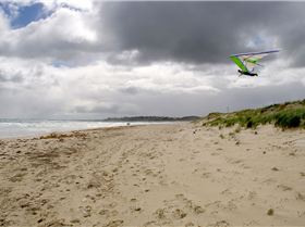 Jamie hanging out...